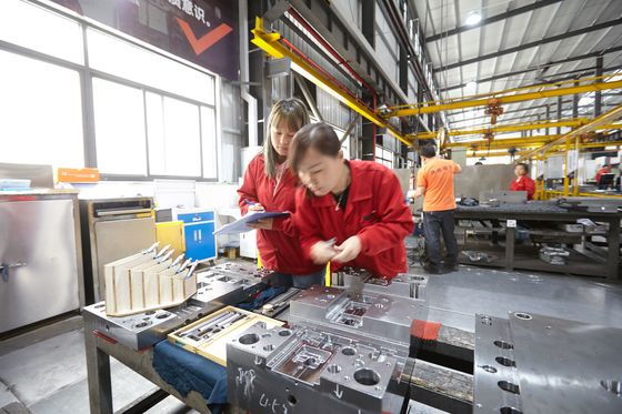 DXM-Basis van de Staal de Plastic Vorm voor Professionele Productie