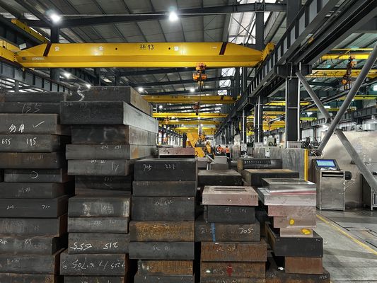 Van de de Precisievorm van DXM S136 van de de Basis de Plastic Vorm Aangepaste Grootte Basis